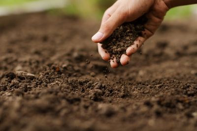 Determine Soil Suitability!